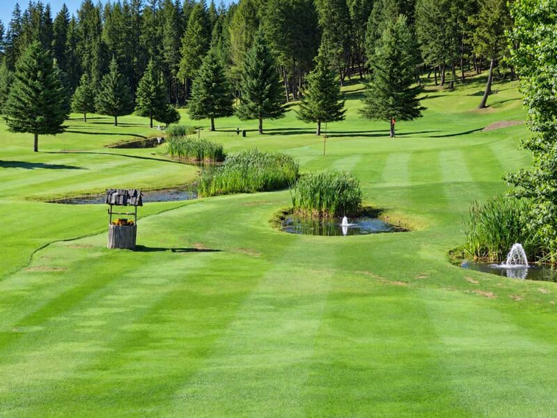 Golf Course in Fortine, MT